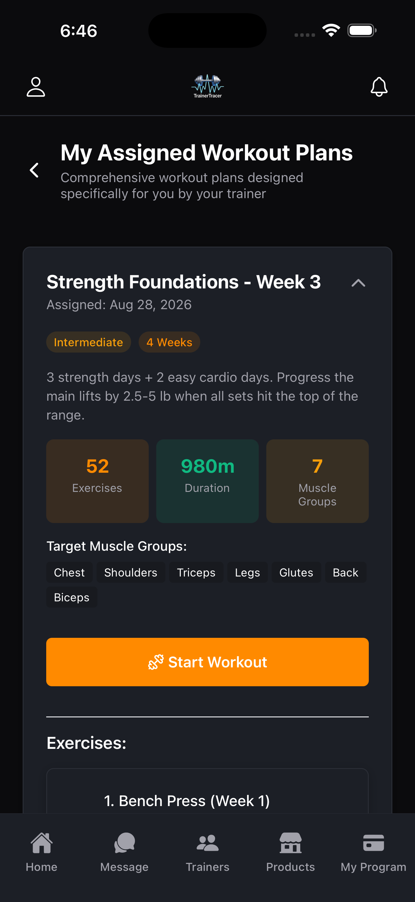 A demo trainer-assigned workout plan in TrainerTracer, with exercises and a Start Workout button.